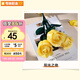 奇妙（keeppley）積木玫瑰花束永生花束擺件玩具送女孩節(jié)日生日禮物 陽光之吻