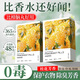 COODORA樟腦丸衣柜防霉防潮除味香薰包鞋柜抽屜除臭芳香獨(dú)立包裝桂花48包