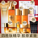 歐萊雅（LOREAL）花蜜膠原水乳小蜜罐化妝護(hù)膚品全套裝金致臻顏中秋節(jié)送禮物禮盒 禮盒15件套:潔面水乳霜面膜精華