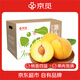 京覓山東蒙陰黃桃凈重4.5斤 單果150g+生鮮水果源頭直發(fā)包郵