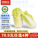 京鮮生&聽蔬 有機娃娃菜1斤凈重 現(xiàn)采摘 山東有機認證無農(nóng)殘 源頭直發(fā)