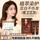 泡泡出彩染發(fā)膏栗棕色天然植物染發(fā)劑純蓋白發(fā)男女士專(zhuān)用自己在家染發(fā)焗油