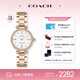 COACH PARK系列鑲鉆表盤26mm 鋼帶石英女表 14503099 七夕禮物/送禮