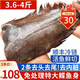 朵芙鰈魚超大凈5斤裝 免處理鰈魚身比目魚 鰈魚段冷凍鴉片魚海魚魚類 免處理超大鰈魚身 1800g 凈重