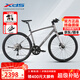 喜德盛（xds）公路車極速380油碟18速平把鋁架2025款運(yùn)動(dòng)休閑車 25款-深灰/銀480