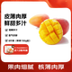 趣嘗鮮 攀枝花金鳳貴妃芒 8斤裝 單果150克起 源頭直發(fā) 新鮮水果