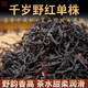 茗冠忠品千歲野放大單株古樹(shù)曬紅茶 25年春茶荒山野紅大單株 昌寧古樹(shù)曬紅 100g 錫紙袋+鐵罐裝