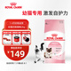 皇家幼貓奶糕 幼貓貓糧 BK34 通用糧 1-4月 2KG