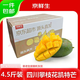 京鮮生 攀枝花凱特芒 凈重4.5斤 帶箱5斤 單果600g+ 生鮮水果 源頭直發(fā)