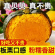 粵迎山東貝貝南瓜板栗口感源頭直發(fā)香甜兒童輔食美味粗糧新鮮蔬菜生鮮 5斤 精選裝【香甜粉糯】凈4.5斤