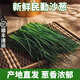鮮級佳正宗民勤沙蔥【順豐速運(yùn)】特產(chǎn)新鮮小蔥香蔥辛香脆爽美味可口現(xiàn)摘 2斤