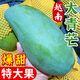 新鮮越南大青芒10斤芒果水果金煌芒青皮大果應(yīng)季熱帶當(dāng)季特產(chǎn) 凈重9斤大果【單果500g+】