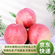 深州水蜜桃 5斤裝2025年新桃子 碩枝紅桃現(xiàn)摘現(xiàn)發(fā)壞果包賠