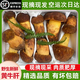 土地母親計劃2025云南見手青野生菌紅蔥白蔥牛肝菌新鮮菌菇野生菌組合 野生黃牛肝菌500g