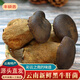 京地達云南特產(chǎn)精品新鮮黑牛肝菌凈重1斤裝牛肝菌鮮菌菇源頭直發(fā)包郵