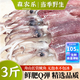 森農(nóng)樂魷魚生鮮整只舟山長管大魷魚新鮮冷凍槍烏賊鮮活鐵板燒烤食材海鮮 1000g(凈重)  【船供Q彈肥嫩】