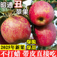 果味集云南昭通冰糖心丑蘋(píng)果當季的新鮮紅富士紅露蘋(píng)果整箱5斤水果包郵 5斤中果【果徑70-75mm】