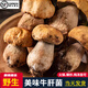云南野生美味牛肝菌特產(chǎn)野生菌鮮菌菇菌子火鍋菌菇生鮮食材蔬菜 美味牛肝菌【精選】野生 1000g【順豐空運(yùn)】