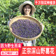 野葛花深山無硫藥材農(nóng)家曬干煮泡水野葛根葛藤花草茶喝酒應酬調(diào)理 深山野葛花500克【小花】