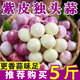 新鮮大蒜2025年現(xiàn)挖大蒜頭正宗紫皮獨頭蒜紅皮農家特產大蒜批發(fā) 5斤裝 大果【果徑3-3.5cm】約25顆/斤