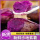 閩農(nóng)語(yǔ)果正宗紫薯新鮮現(xiàn)挖新鮮粉糯香甜寶寶輔食整箱代餐好薯生鮮紫薯 【單果1-2兩】 5斤商超 | 凈重4.5斤