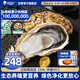 貝司令（BEISILING）【鮮活】乳山生態(tài)生蠔牡蠣貝類燒烤源頭直發(fā)6XL凈重9斤海鮮水產(chǎn)