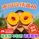 【桃鄉(xiāng)棗陽】正宗錦繡黃桃頭茬新鮮桃子大果源頭產(chǎn)地現(xiàn)摘現(xiàn)發(fā) 精選大果（200-250g） 凈重4.5斤（京東快遞送貨上門）