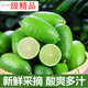 甘果有約 香水檸檬 無籽青檸檬 青檸新鮮水果 海南 5斤精品一級果