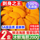 柒島【銷量10萬+】新鮮海膽鮮活現(xiàn)剝海膽肉刺身生吃馬糞海膽海膽黃 頂配 海膽凈重【200g】120-130塊