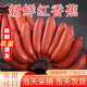 紅美人香蕉當(dāng)季水果現(xiàn)摘小香焦新鮮紅皮芭蕉米蕉批發(fā)整箱 5斤