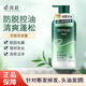 亮荘防脫育發(fā)洗發(fā)水17側柏葉生姜精華減少掉發(fā)清爽控油蓬松洗發(fā)露500g