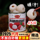 ALL DAY去核木糖醇仲夏荔枝初夏楊梅暮春枇杷罐頭2025年應(yīng)季水果罐頭即食 木糖醇去核荔枝4罐【300g/罐】新果