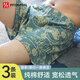 FitonTon男士內(nèi)褲男純棉寬松阿羅褲舒適家居男式短褲睡褲3條新款 XXXL