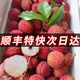 仙進(jìn)奉荔枝新鮮現(xiàn)摘現(xiàn)發(fā)10斤廣東增城當(dāng)應(yīng)季整箱水果合江帶綠桂味 5斤（凈重2000g） 【仙進(jìn)奉】尊享品質(zhì)-甜蜜絲滑