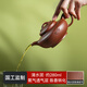 京東京造 宜興紫砂壺手工茶壺【原礦清水泥】煮泡茶具 君德如意280ml禮盒