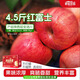 青怡陜西特產(chǎn)洛川紅富士時令蘋果新鮮水果禮盒 源頭產(chǎn)地包郵直發(fā) 4.5斤【中大果】160g+