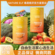 NATURE ELF自由生活家果蔬精靈 Nature Elf 多營養(yǎng)高纖復合果蔬固體飲料 一罐果蔬精靈【12g/袋×15袋】