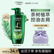 歐萊雅茶樹洗發(fā)水 植萃去屑清爽控油去油男士女士洗發(fā)露500ml