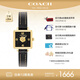 蔻馳（COACH）CASS系列 茶玫瑰明星同款 皮帶石英女表14503695 七夕禮物/送禮
