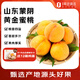 趣嘗鮮 蒙陰黃金蜜桃 凈重4.5斤 單枚150g起 新鮮毛桃 源頭直發(fā)一件包郵
