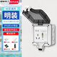 國際電工開(kāi)關(guān)插座IP66戶(hù)外暴雨雙聯(lián)防濺盒廚房浴室保護蓋加大厚密封防水盒 【明裝】10A五孔漏保