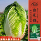 壽禾 大白菜種子苗秋冬田地庭院蔬菜種籽 山東五號白菜種子約4000粒