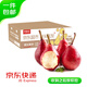 京鮮生 山西紅啤梨 凈重4.5斤 單果重130g+ 新鮮水果 源頭直發(fā)
