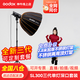 神牛（Godox）SL300W三代直播補光燈LED攝影套裝視頻拍攝常亮燈 SL300三代+QR-P90+格柵+2.8燈架 官方標(biāo)配