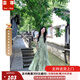 蕓蕁裙子女夏季2025新款新中式女裝無袖掛脖連衣裙子夏季清冷松弛感穿 霧林綠 M