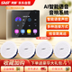 先科（SAST）智能WIFI語音觸屏家庭影院背景音樂藍(lán)牙主機(jī)系統(tǒng)音響組合吸頂音響套裝嵌入式家居喇叭重低音一拖四