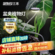 三思京東集采JC系列全光譜植物燈補光燈國家補貼植物生長盆夾燈-12W