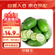 京鮮生 海南香水檸檬 2斤 單果90g-120g 生鮮水果