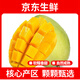 疆域采虹正宗現(xiàn)摘凱特芒果新鮮大青皮芒果時令現(xiàn)摘新鮮芒果生鮮水果整箱 嚴(yán)選5斤超值裝 凈重約為4斤