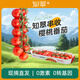 知翠串收櫻桃小番茄生吃玲瓏西紅柿脆甜新鮮水果自然熟小柿子順豐包郵 紅串收櫻桃小番茄 198g *2盒